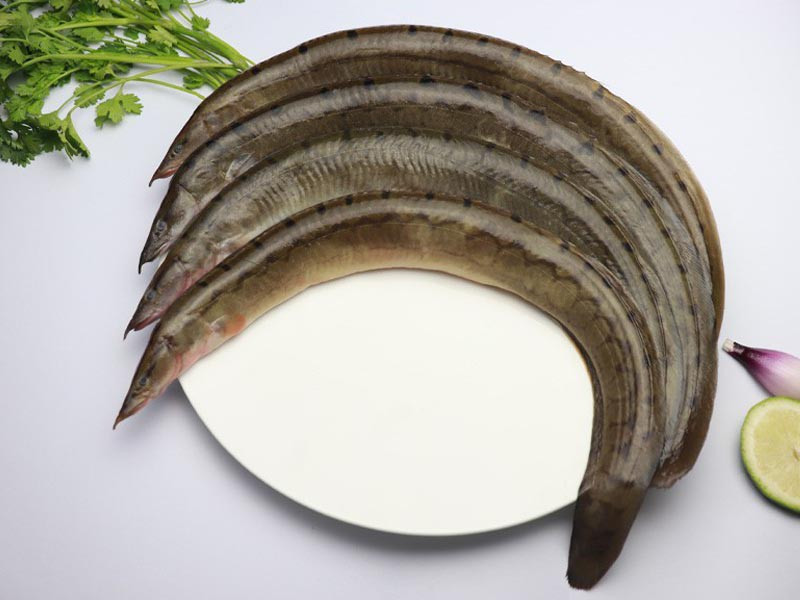 বাইম মাছ - ছোট (Baim Fish)
