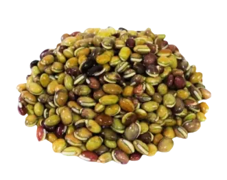 শিমের বিচি (Beans Seed)