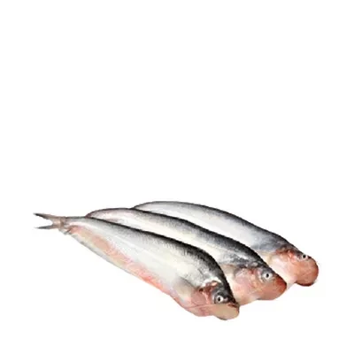 পাবদা মাছ (Pabda Fish)