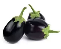কালো গোল বেগুন (Black Round Eggplant/Brinjal)