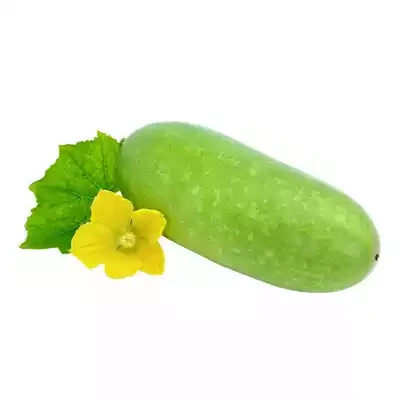 জালি কুমড়া / চাল কুমড়া (Water Pumpkin)
