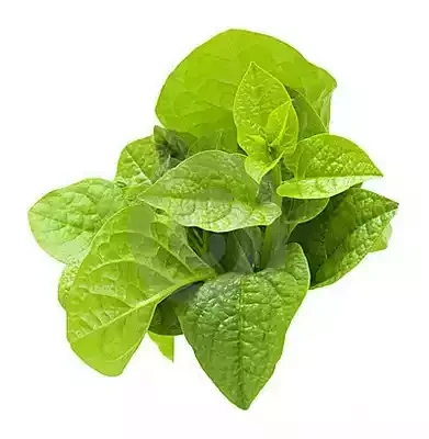 পুই শাক (আটি) / (Pui Spinach)