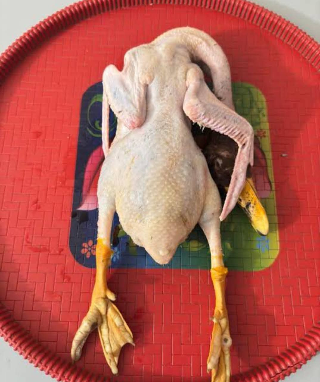 পাতি হাঁস (রেডি টু কুক)  950g- 1050g / Duck (Ready to Cook):